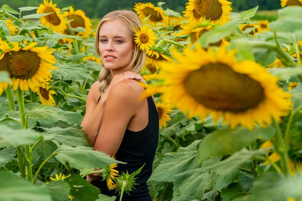 Gorgeous Blonde Model Poses Outdoors Field Sunflowers While Enjoying Summer — стоковое фото