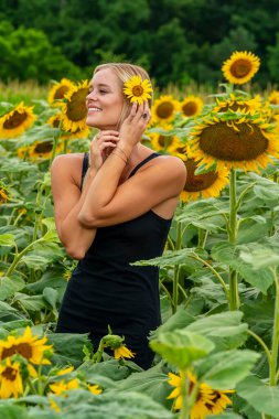 Sarışın bir model, yaz gününün tadını çıkarırken ayçiçeği tarlasında poz veriyor.