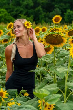 Sarışın bir model, yaz gününün tadını çıkarırken ayçiçeği tarlasında poz veriyor.
