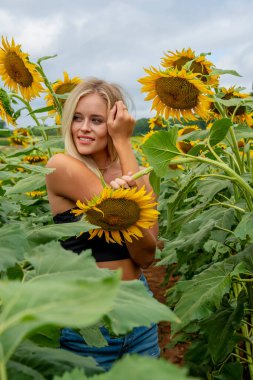 Sarışın bir model, yaz gününün tadını çıkarırken ayçiçeği tarlasında poz veriyor.