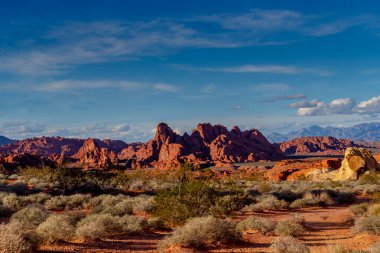 Nevada 'daki Ateş Vadisi yakınlarındaki çöl manzarası