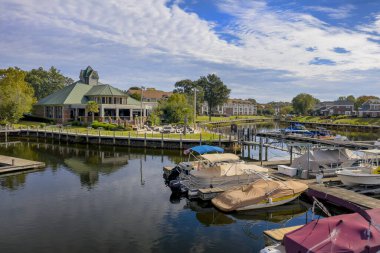 Bir sonbahar gününde yerel bir gölün genel görünümü