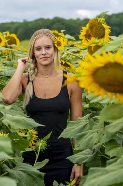 Sarışın bir model, yaz gününün tadını çıkarırken ayçiçeği tarlasında poz veriyor.