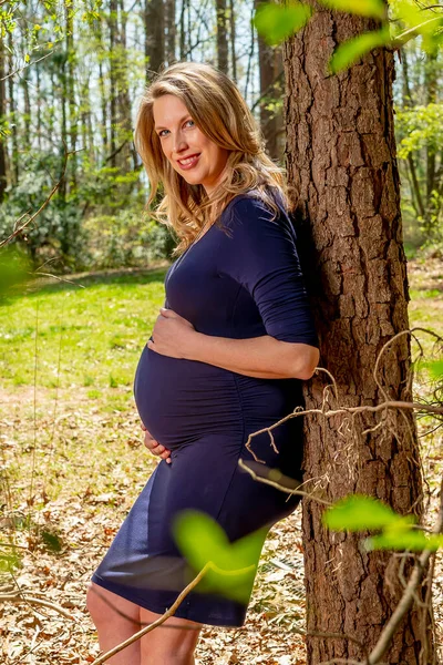 Una Hermosa Madre Embarazada Posa Ambiente Aire Libre — Foto de Stock