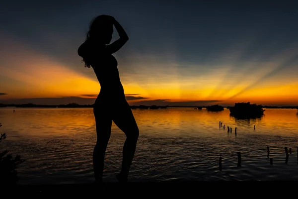 Una Hermosa Modelo Latina Desnuda Silueta Mientras Posa Con Sol —  Fotos de Stock
