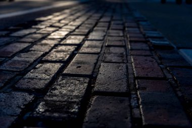 Indianapolis Motor Yarış Pisti Indianapolis, Indiana 'da 105. koşuya ev sahipliği yapıyor..