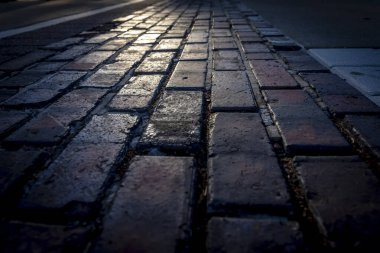 Indianapolis Motor Yarış Pisti Indianapolis, Indiana 'da 105. koşuya ev sahipliği yapıyor..