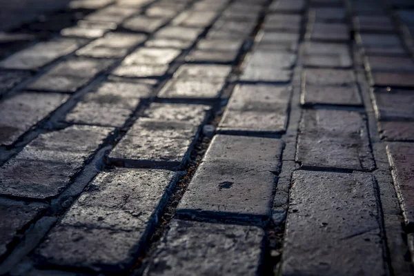 Indianapolis Motor Yarış Pisti Indianapolis, Indiana 'da 105. koşuya ev sahipliği yapıyor..