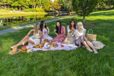 Bir grup güzel kadın, sonbahar günü açık havada pikniğin tadını çıkarırlar.