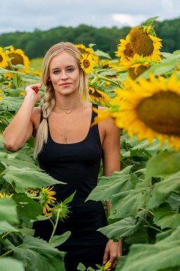 Sarışın bir model, yaz gününün tadını çıkarırken ayçiçeği tarlasında poz veriyor.