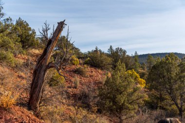 Amerika 'nın güneybatısında kaya oluşumları