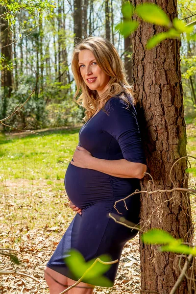 Una Hermosa Madre Embarazada Posa Ambiente Aire Libre —  Fotos de Stock