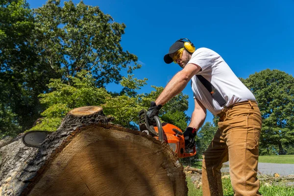 Young Adult Male Cuts Tree Has Been Blown Severe Storm — Stock Photo, Image