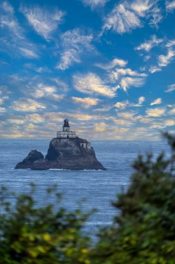 Tillamook Kaya Işığı (yerel olarak Korkunç Tilly veya sadece Tilly olarak bilinir), ABD 'nin Oregon sahilinde etkisiz hale getirilmiş bir deniz feneridir.. 