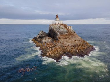 Tillamook Kaya Işığı (yerel olarak Korkunç Tilly veya sadece Tilly olarak bilinir), ABD 'nin Oregon sahilinde etkisiz hale getirilmiş bir deniz feneridir.. 