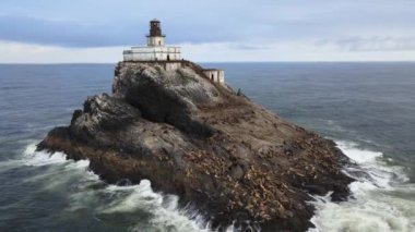 Tillamook Kaya Işığı (yerel olarak Korkunç Tilly veya sadece Tilly olarak bilinir), ABD 'nin Oregon sahilinde etkisiz hale getirilmiş bir deniz feneridir.. 