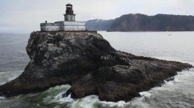Tillamook Kaya Işığı (yerel olarak Korkunç Tilly veya sadece Tilly olarak bilinir), ABD 'nin Oregon sahilinde etkisiz hale getirilmiş bir deniz feneridir.. 