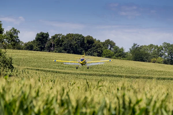 Polvere di raccolto giallo — Foto Stock