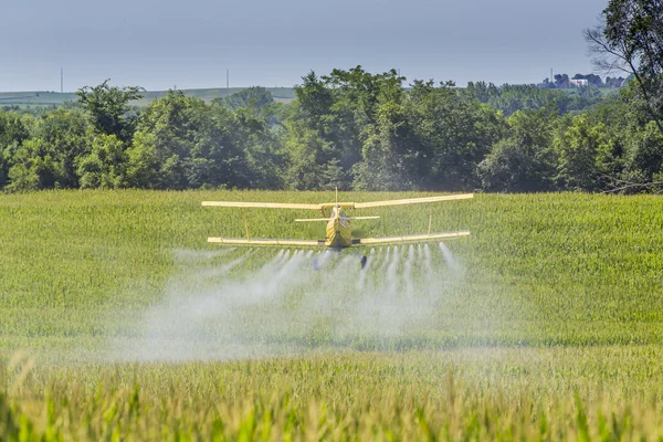 Żółty Crop Duster — Zdjęcie stockowe