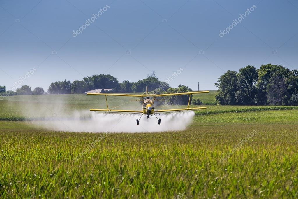 Yellow Crop Duster — Stock Photo © actionsports 79508256