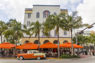 Miami Plajı Florida