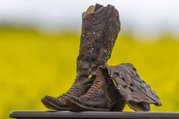 Botas en un campo de flores —  Fotos de Stock