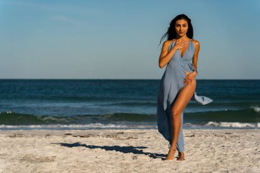 Göz kamaştırıcı melez bir bikini modeli güneşli bir plajda dinleniyor, parlayan tenini güneş öpüyor. Ferahlatıcı dalgaları, kendine güveni, zarafet ve güzellik saçan okyanus arkaplanını seviyor..