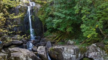 Yapraklar sonbahara doğru değişmeye başlarken dağlık bir ortamda güzel bir şelale kurulur..