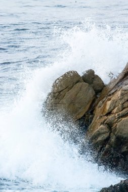 Uçsuz bucaksız okyanus güçle dalgalanırken dalgalar Kaliforniya 'nın engebeli kayalarına çarpar. Sis havaya yükselir, ham enerjiyi sadece denizin sunabileceği derin ve sakinleştirici bir dinginlikle harmanlar..