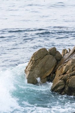 Uçsuz bucaksız okyanus güçle dalgalanırken dalgalar Kaliforniya 'nın engebeli kayalarına çarpar. Sis havaya yükselir, ham enerjiyi sadece denizin sunabileceği derin ve sakinleştirici bir dinginlikle harmanlar..