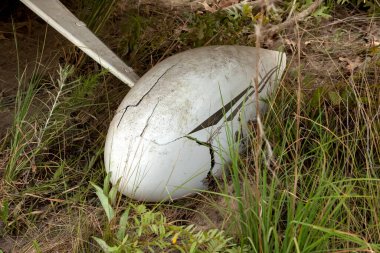 Küçük bir genel havacılık uçağı, yakınlardaki bir tarlaya kayarak kırsal bir havaalanına düştü. Herhangi bir yaralanma bildirilmedi, ama uçak ağır hasar gördü ve onarılamaz şekilde hasar gördü..