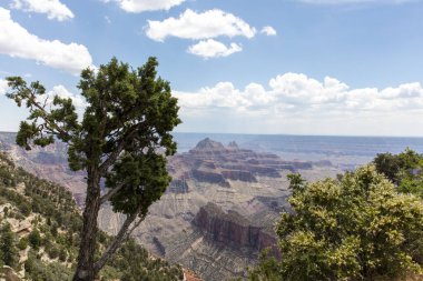 Büyük Kanyon Kuzey Şeridi 'nden nefes kesen manzaralar engin kayalıkları, katmanlı kaya oluşumlarını ve derin kanyonları, görkemli ve çarpıcı güzellikleri gözler önüne seriyor..
