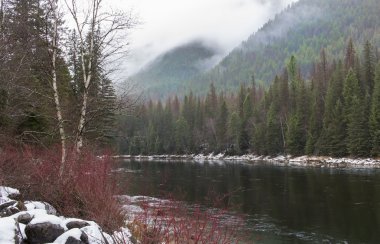 Montana büyük devlet