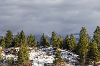 Montana büyük devlet