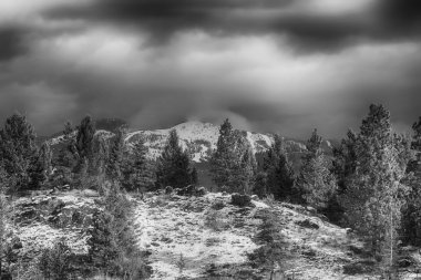 Montana büyük devlet