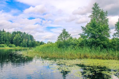 Rus doğası. Rus ormanı, Rus nehri..