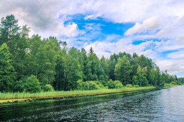Rus doğası. Rus ormanı, Rus nehri..