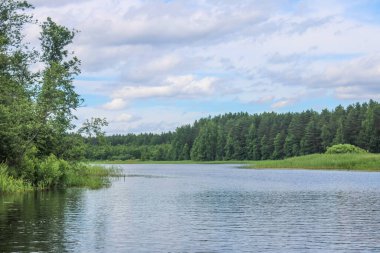 Rus doğası. Rus ormanı, Rus nehri..