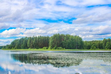 Rus doğası. Rus ormanı, Rus nehri..