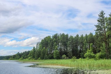 Rus doğası. Rus ormanı, Rus nehri..