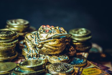 Feng Shui para kurbağası. Çin kurbağasına karşılık para..