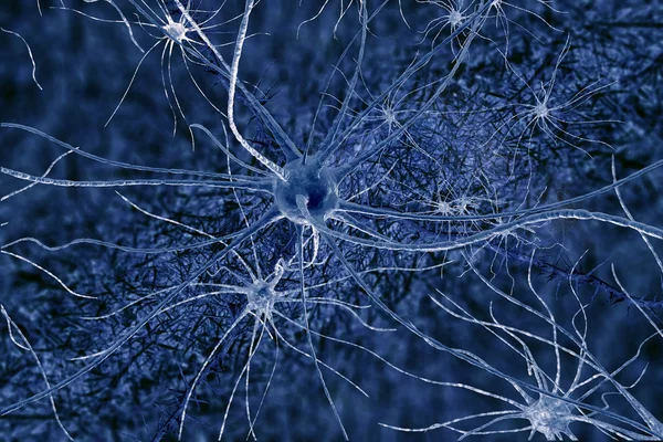 Neuronas de ilustración digitall — Foto de Stock