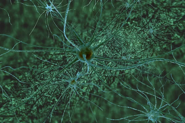 Digital illustration neuronsl — Stock Photo, Image