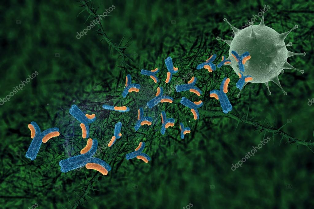 antibodies #hashtag