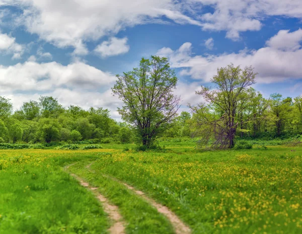 Summer landscape island Sakhalin. — Stock Photo, Image