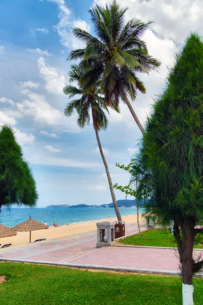 Sea, sun, palm trees, beach.