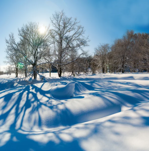 Zonnige winterdag, in het bos. — Stockfoto