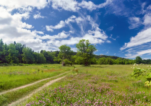 Hermoso paisaje de verano en Sakhalin . — Foto de Stock