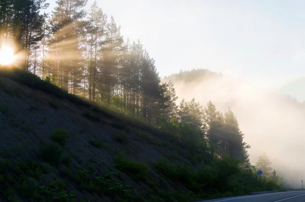 Schöne Morgensonnenaufgangslandschaft. — Stockfoto