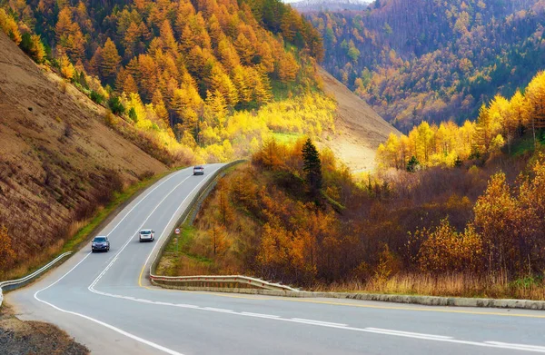 Podzimní Horská Cesta Ostrově Sakhalin — Stock fotografie